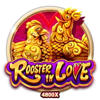 RoosterInLove